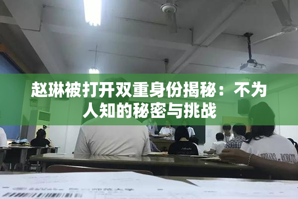 赵琳被打开双重身份揭秘：不为人知的秘密与挑战