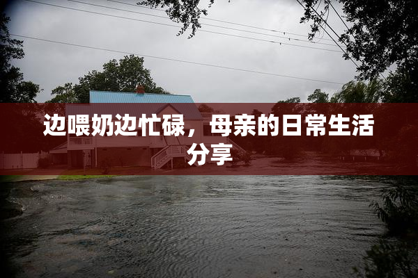 边喂奶边忙碌，母亲的日常生活分享