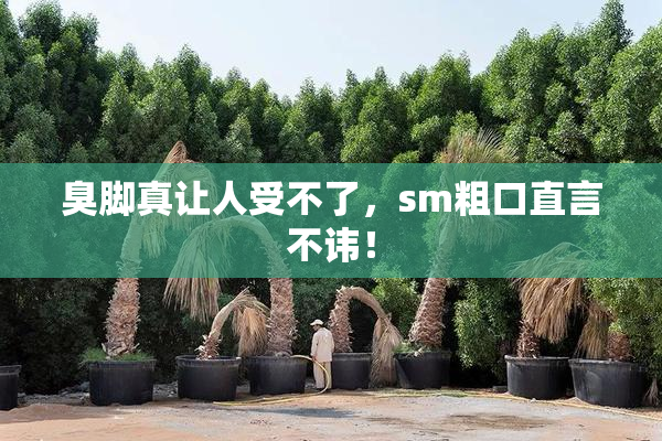 臭脚真让人受不了，sm粗口直言不讳！