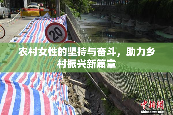 农村女性的坚持与奋斗，助力乡村振兴新篇章