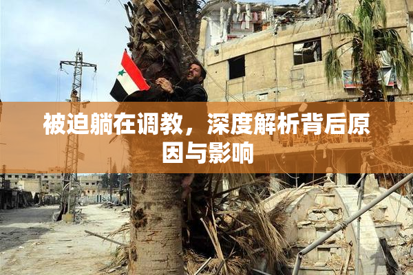 被迫躺在调教，深度解析背后原因与影响