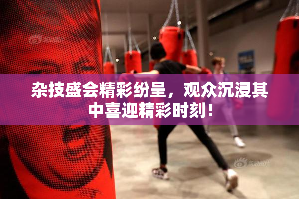 杂技盛会精彩纷呈，观众沉浸其中喜迎精彩时刻！