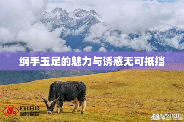 纲手玉足的魅力与诱惑无可抵挡