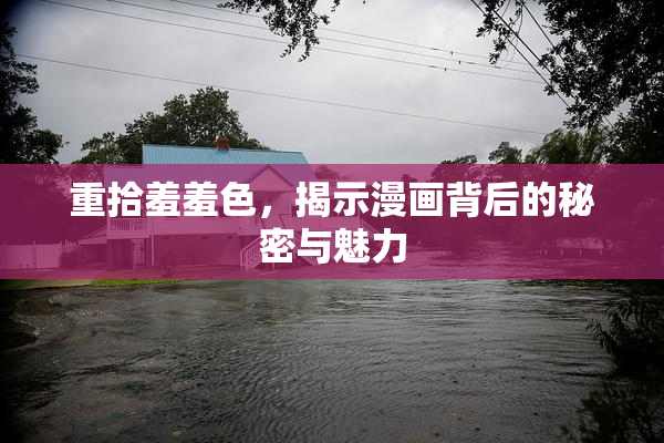 重拾羞羞色，揭示漫画背后的秘密与魅力