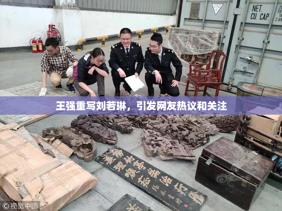 王强重写刘若琳，引发网友热议和关注