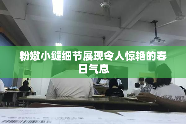 粉嫩小缝细节展现令人惊艳的春日气息
