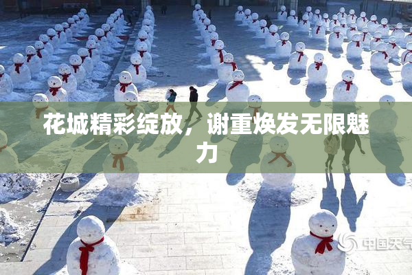 花城精彩绽放，谢重焕发无限魅力