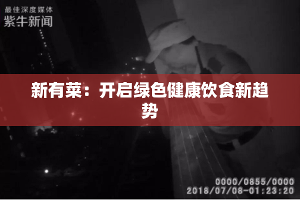 新有菜：开启绿色健康饮食新趋势