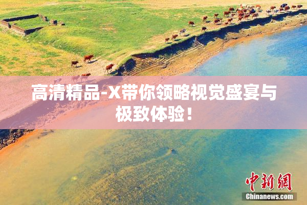 高清精品-X带你领略视觉盛宴与极致体验！