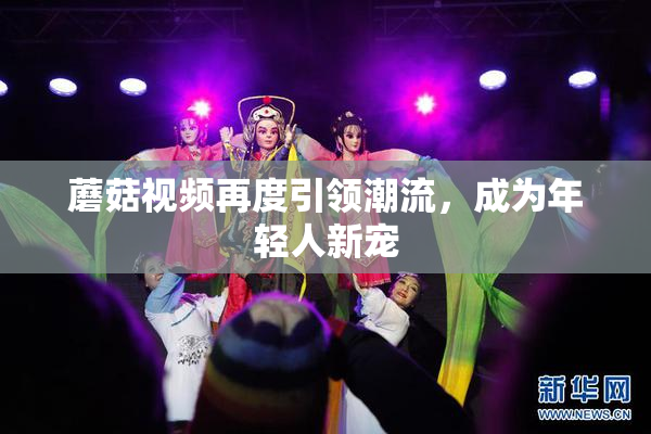 蘑菇视频再度引领潮流，成为年轻人新宠