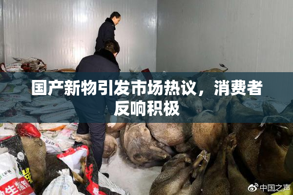 国产新物引发市场热议，消费者反响积极