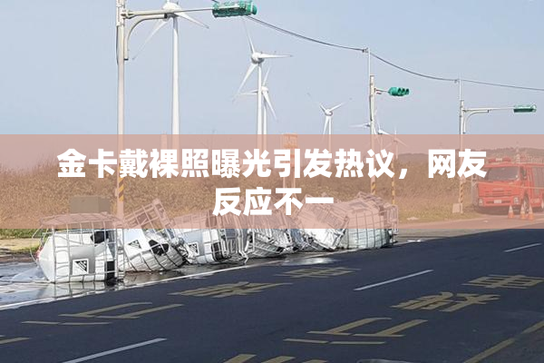 金卡戴裸照曝光引发热议，网友反应不一