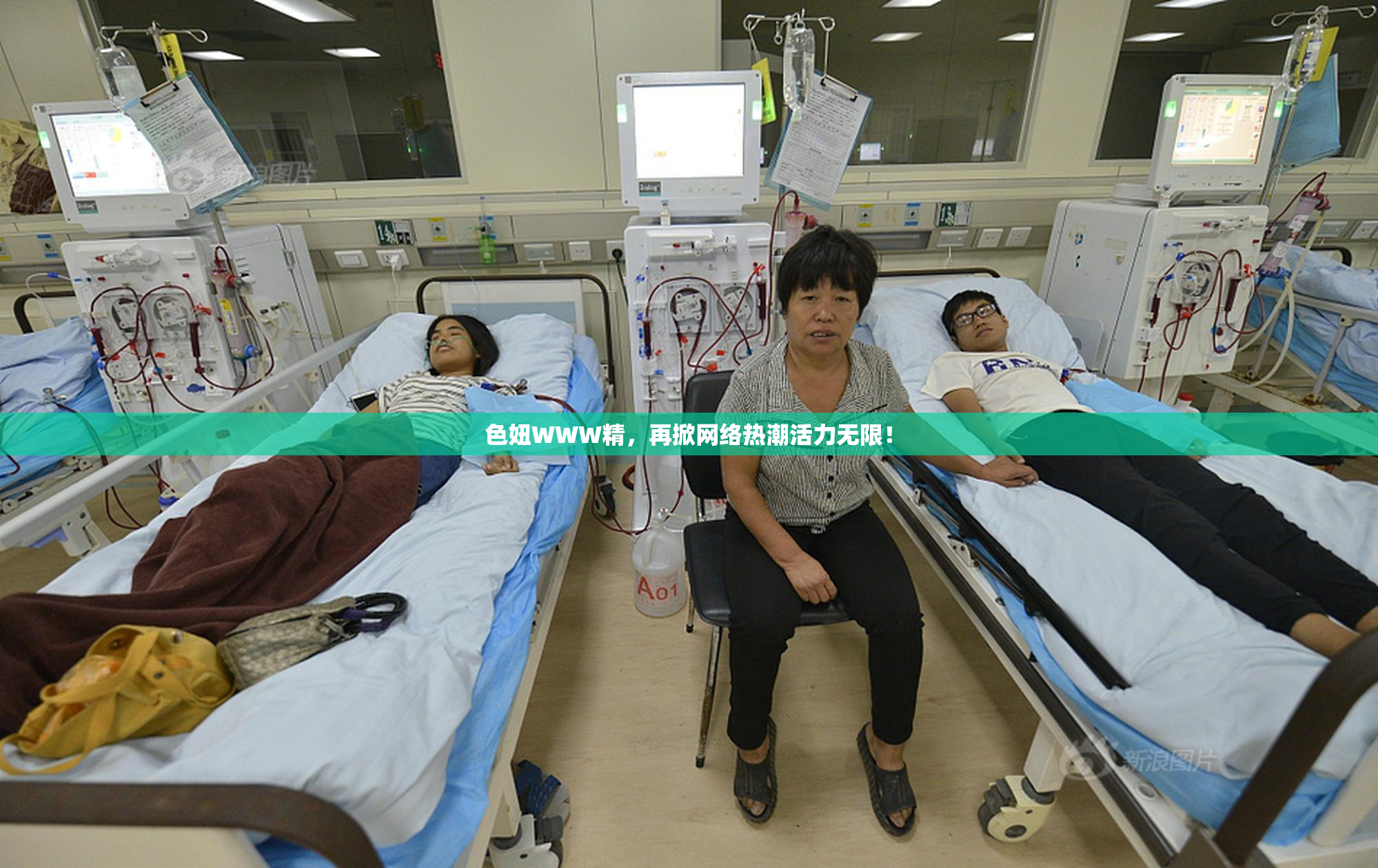 色妞WWW精，再掀网络热潮活力无限！