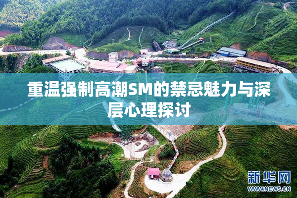 重温强制高潮SM的禁忌魅力与深层心理探讨