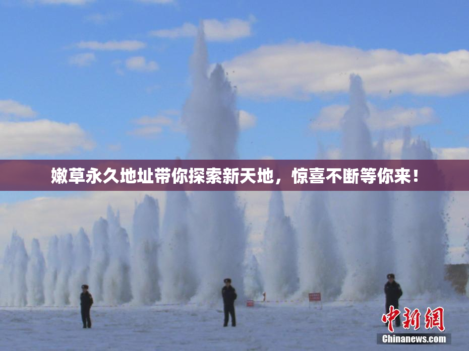 嫩草永久地址带你探索新天地，惊喜不断等你来！