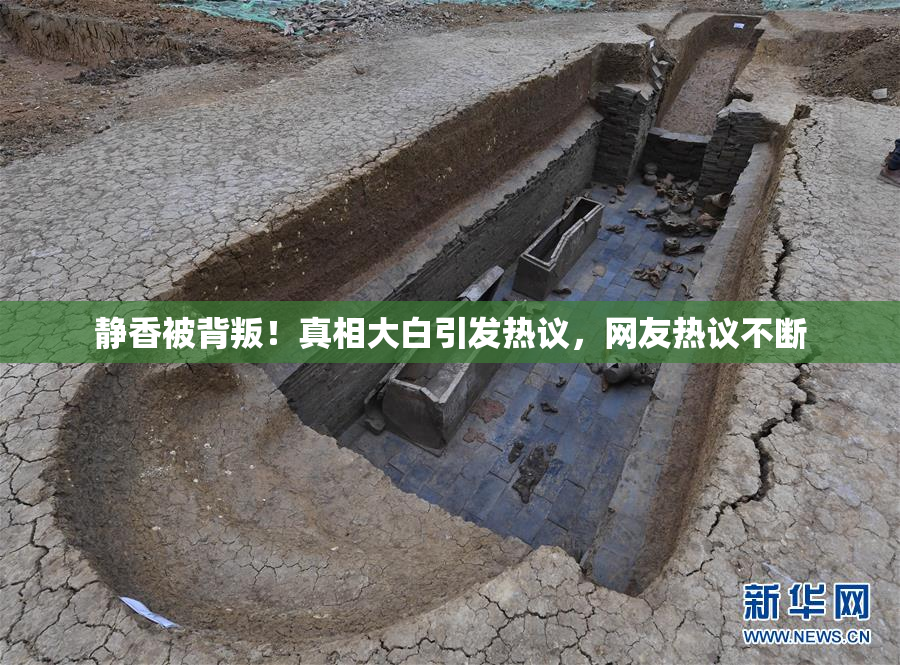 静香被背叛！真相大白引发热议，网友热议不断