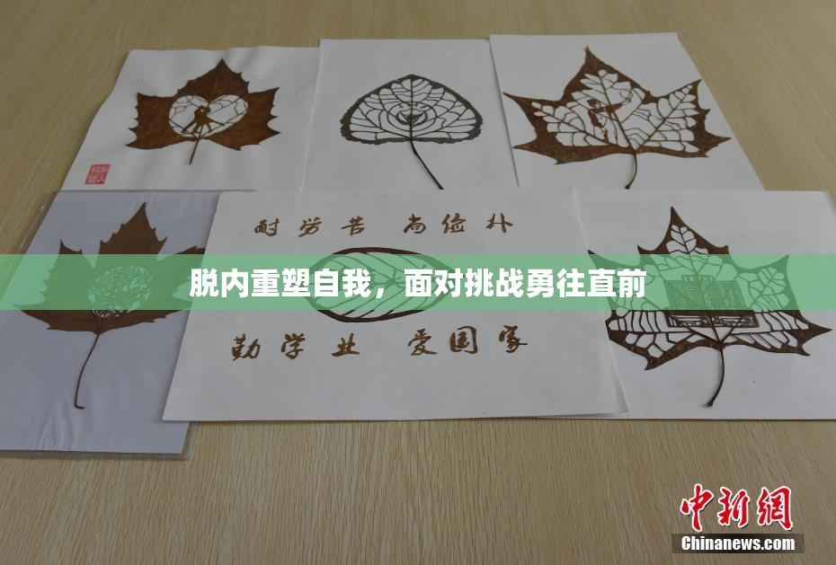 脱内重塑自我，面对挑战勇往直前