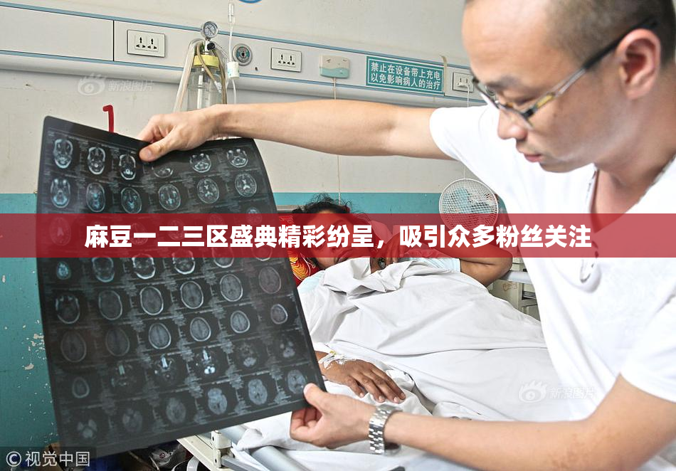 麻豆一二三区盛典精彩纷呈，吸引众多粉丝关注