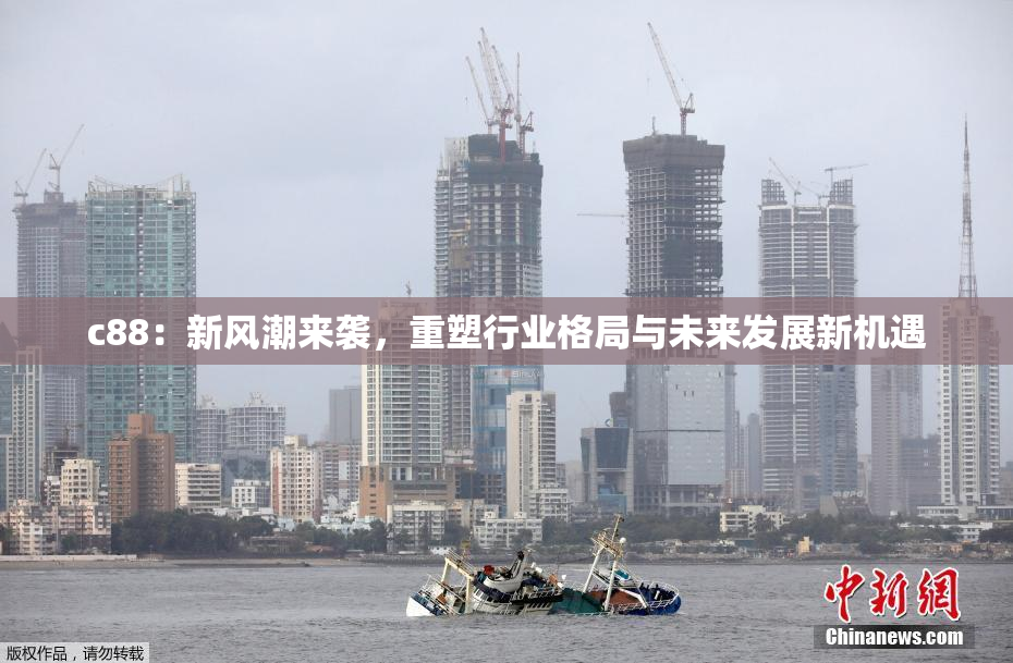 c88：新风潮来袭，重塑行业格局与未来发展新机遇