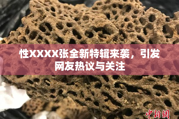 性XXXX张全新特辑来袭，引发网友热议与关注