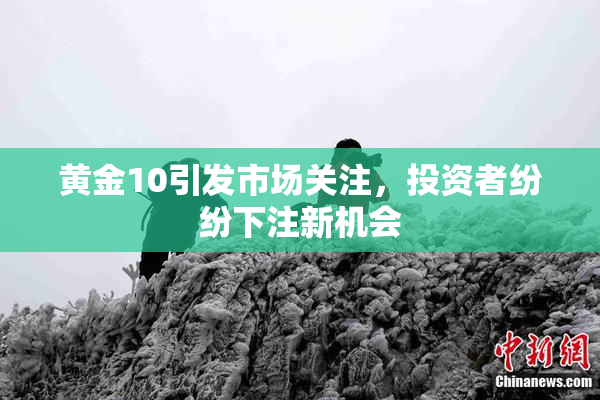 黄金10引发市场关注，投资者纷纷下注新机会