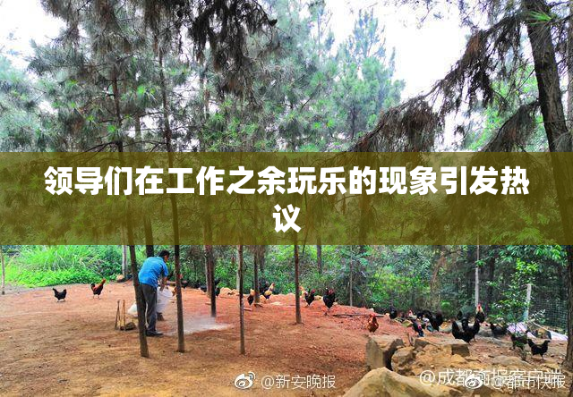 领导们在工作之余玩乐的现象引发热议
