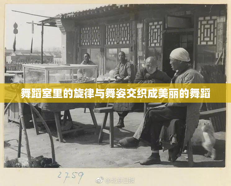 舞蹈室里的旋律与舞姿交织成美丽的舞蹈