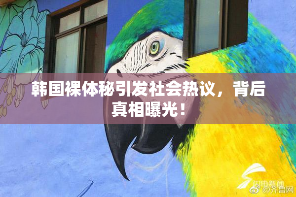 韩国裸体秘引发社会热议，背后真相曝光！