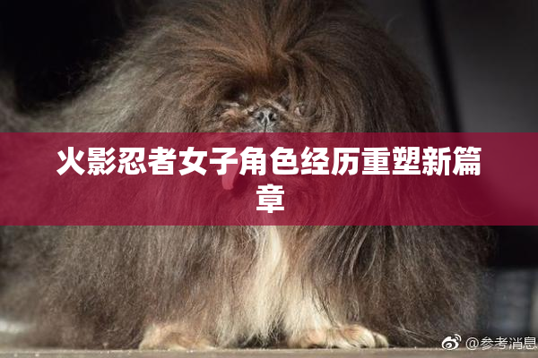 火影忍者女子角色经历重塑新篇章