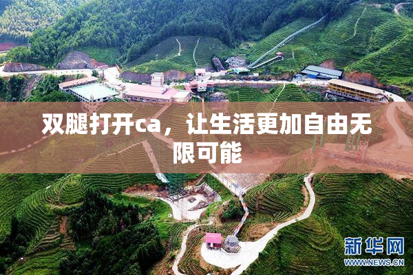 双腿打开ca，让生活更加自由无限可能