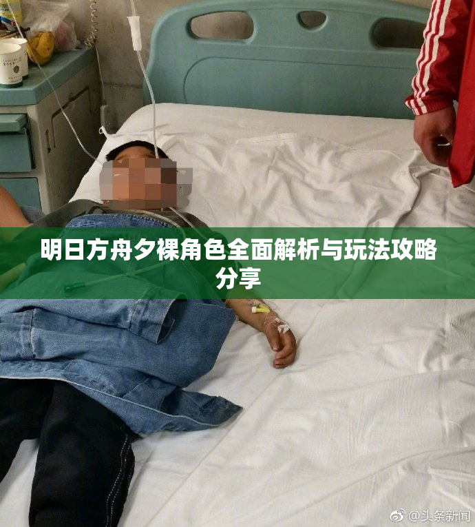 明日方舟夕裸角色全面解析与玩法攻略分享