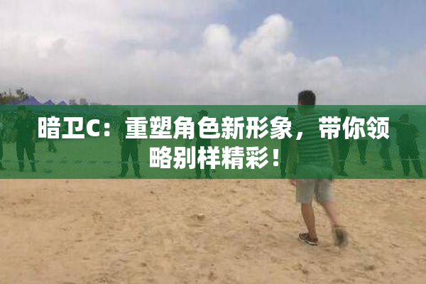 暗卫C：重塑角色新形象，带你领略别样精彩！