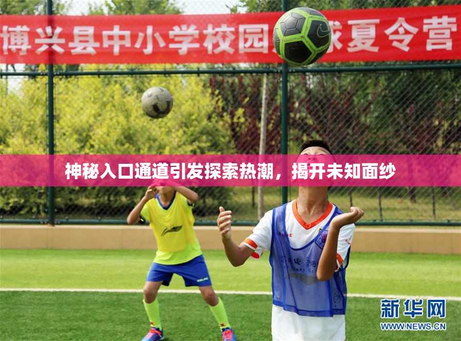 神秘入口通道引发探索热潮，揭开未知面纱
