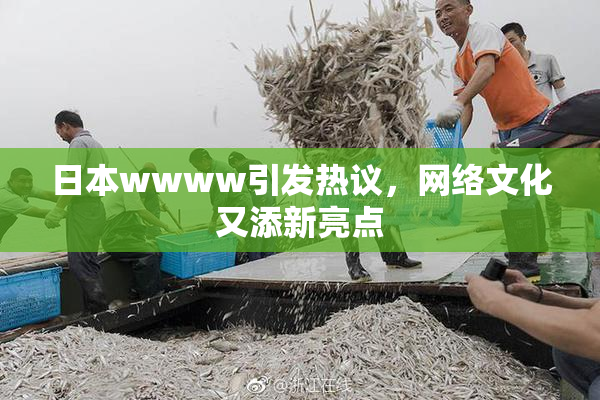 日本wwww引发热议，网络文化又添新亮点