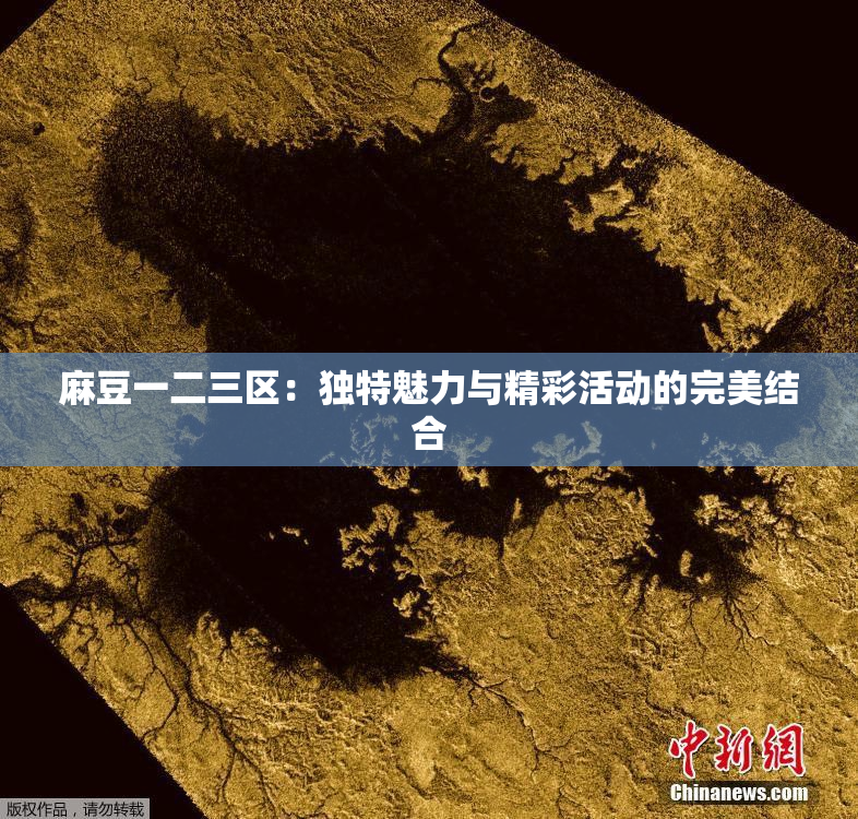 麻豆一二三区：独特魅力与精彩活动的完美结合