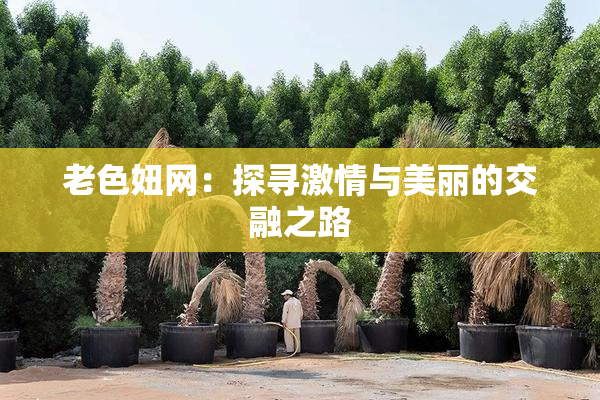 老色妞网：探寻激情与美丽的交融之路