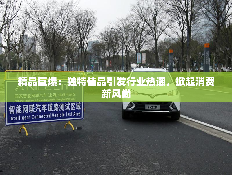 精品巨爆：独特佳品引发行业热潮，掀起消费新风尚
