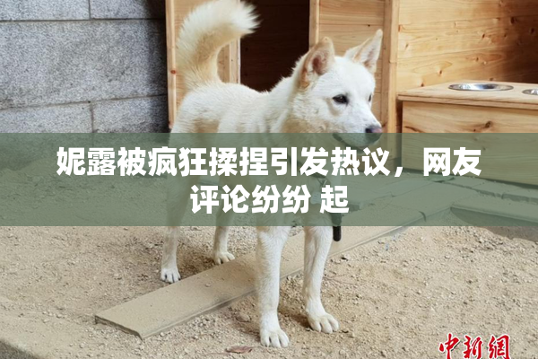妮露被疯狂揉捏引发热议，网友评论纷纷 起