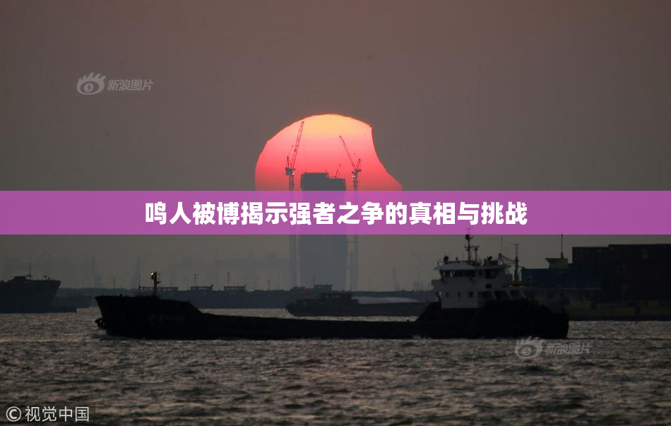 鸣人被博揭示强者之争的真相与挑战