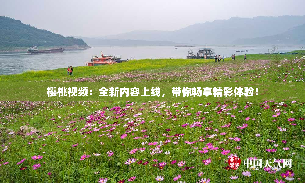 樱桃视频：全新内容上线，带你畅享精彩体验！