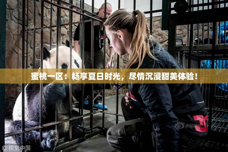 蜜桃一区：畅享夏日时光，尽情沉浸甜美体验！