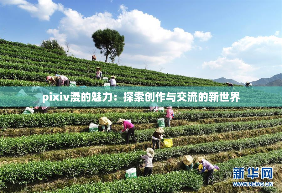 pixiv漫的魅力：探索创作与交流的新世界