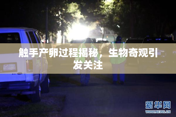 触手产卵过程揭秘，生物奇观引发关注