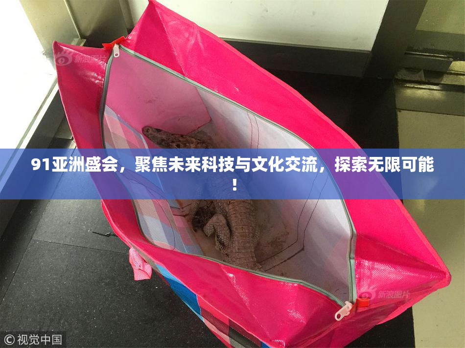 91亚洲盛会，聚焦未来科技与文化交流，探索无限可能！