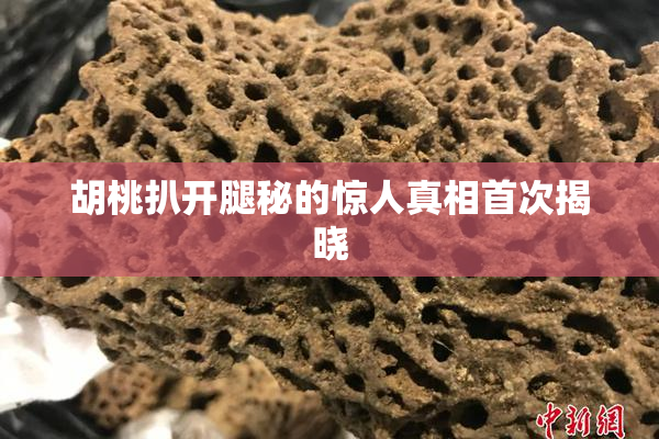 胡桃扒开腿秘的惊人真相首次揭晓