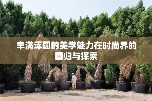 丰满浑圆的美学魅力在时尚界的回归与探索