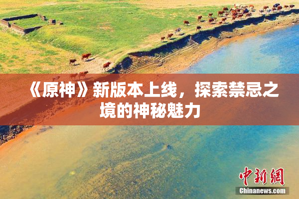 《原神》新版本上线，探索禁忌之境的神秘魅力