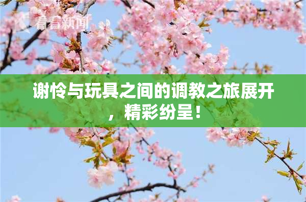 谢怜与玩具之间的调教之旅展开，精彩纷呈！