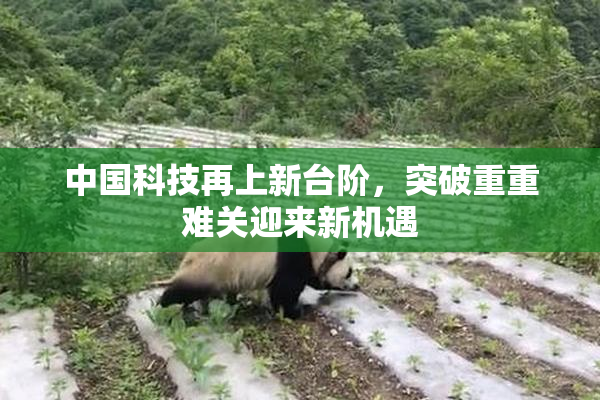 中国科技再上新台阶，突破重重难关迎来新机遇