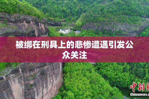 被绑在刑具上的悲惨遭遇引发公众关注